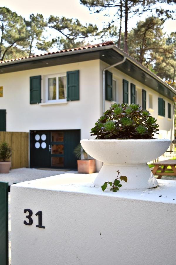 Julia Blue, Villa Hostal Naou Hossegor - Sauna - Salle De Sport - Wifi - Netflix Сорт-Осгор Экстерьер фото